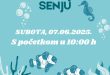 ČIŠĆENJE PODMORJA U SENJU – SNAGA ZAJEDNIŠTVA U SLUŽBI PRIRODE