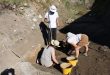 Počinje 11. sezona arheološkog istraživanja starog grada Otočca